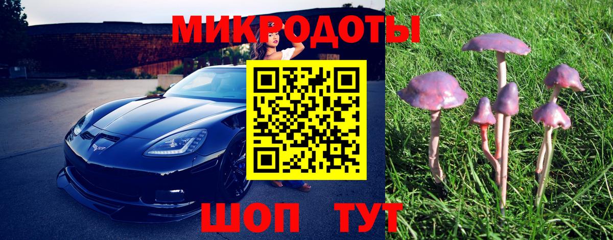 Галлюциногенные грибы мухоморы  Псилоцибиновые грибы Psilocybe  Архангельск  Вход с VPN 
